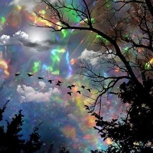 Meet your Posher, Jo